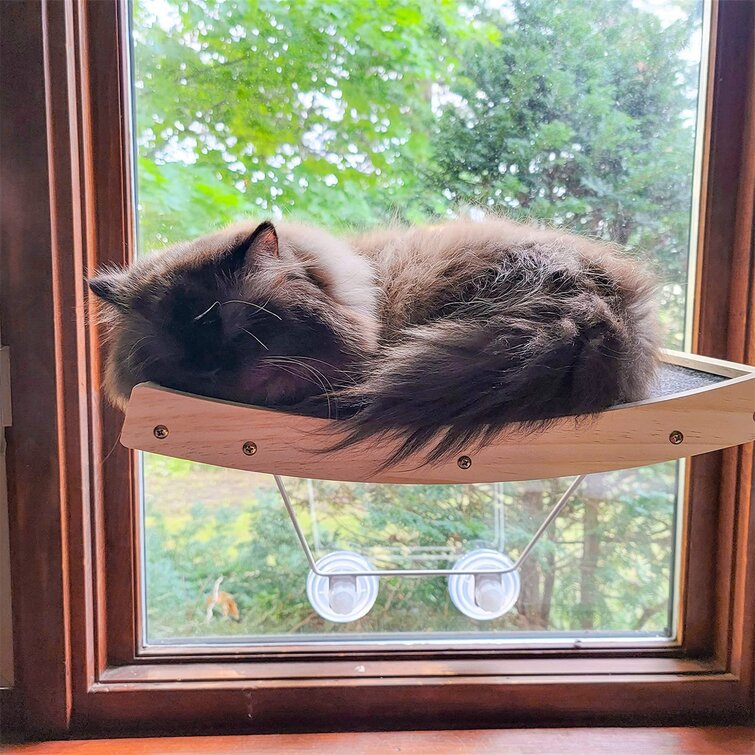 Window store cat bed